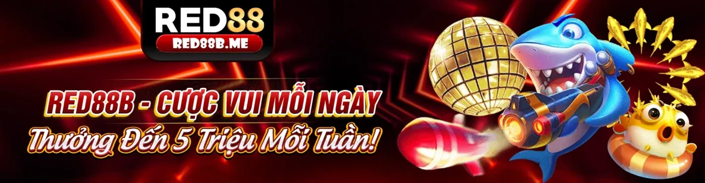 Minh họa luồng dữ liệu và các loại cookie được 888yes sử dụng